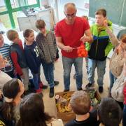 Von Schweinen und Bananen: Foodsharing zu Gast in der 5b